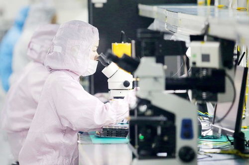 真刀真槍 搞改革 九洲集團迸發新活力