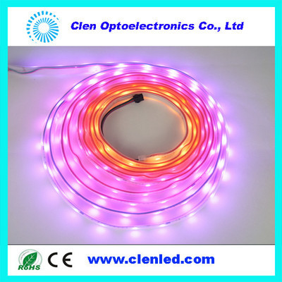 【最新DMX512 并聯控制 幻彩燈條 30燈 12V】價格,廠家,圖片,LED燈帶/燈條/燈片,深圳市晨亮光電科技-